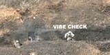 ukraine war trench grenade vibe check