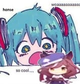 whoa honse
