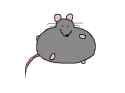 rats[sound=https%3A%2F%2Ffiles.catbox.moe%2Fb9v2eq.ogg]_thumb.jpg