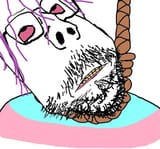 1753428122203498