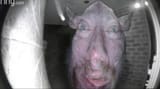 1600206120708