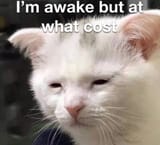 1571761883956
