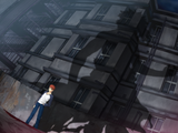 emiya shadow