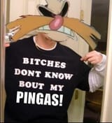 bitches don&#039;t know about my pingas