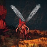 redrotbug