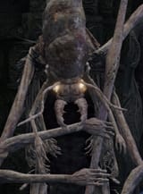 bugman