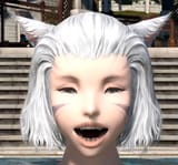 happi faec