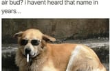 dog_picture_126
