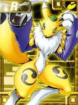 Renamon_ex_collectors