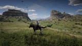 RDR19