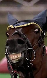 228280321_10218741756647589_4607600629729576476_n-622x1024