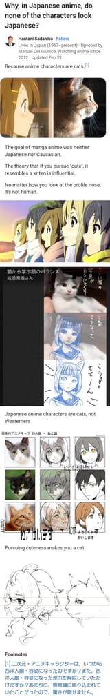 anime is cats