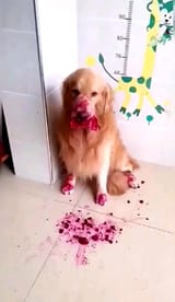 1679583652830758-thumbnail
