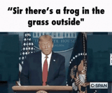 1692303944624053