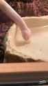 snakebubbles_thumb.jpg