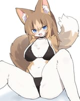 133452228_p0