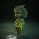 moss
