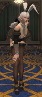 Ameliance bunny