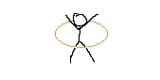 lasso