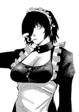 himmaid