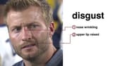 McDisgust1