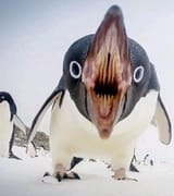 1676472971784829