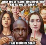 TurningTheFrogsGay