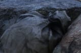 bloated alien demon skull laying on its side screaming