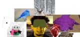 the fun gang