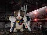 gundam kitten