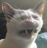 1754677725328122