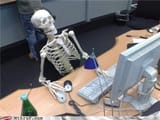 skelelele