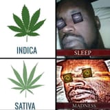 ho0vvzvetwvc1