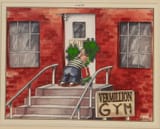 vermillion school for the gifted