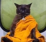 1_Noxbne247wokAK7lYw2nHA2