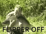 fish-flipper-off