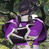 DRGberd