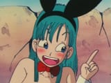 bulma