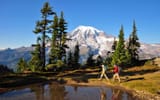 19-mount-rainier-national-park-washington-BESTHIKE0407-1b2ae69a788f49a996e64ff38f05275a