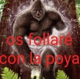 1728525682203887