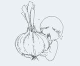 OnionWife