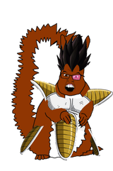 squirreljita