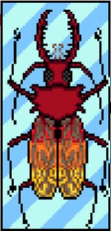 Beetle