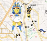 Ankha spotted 