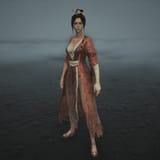 palace maid_s set-472e70ae