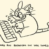 Mad Rat Banging out the tunes