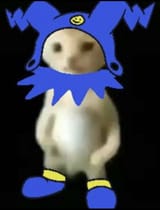 cat frost