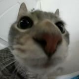 1745636097352215