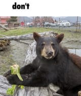 GxcXcjYaUAA0jV-