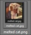 melted cat